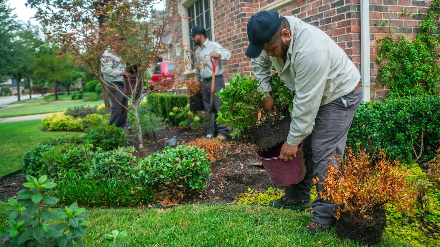 Landscaping Jobs in Texas: Descriptions, Salaries & Other Considerations